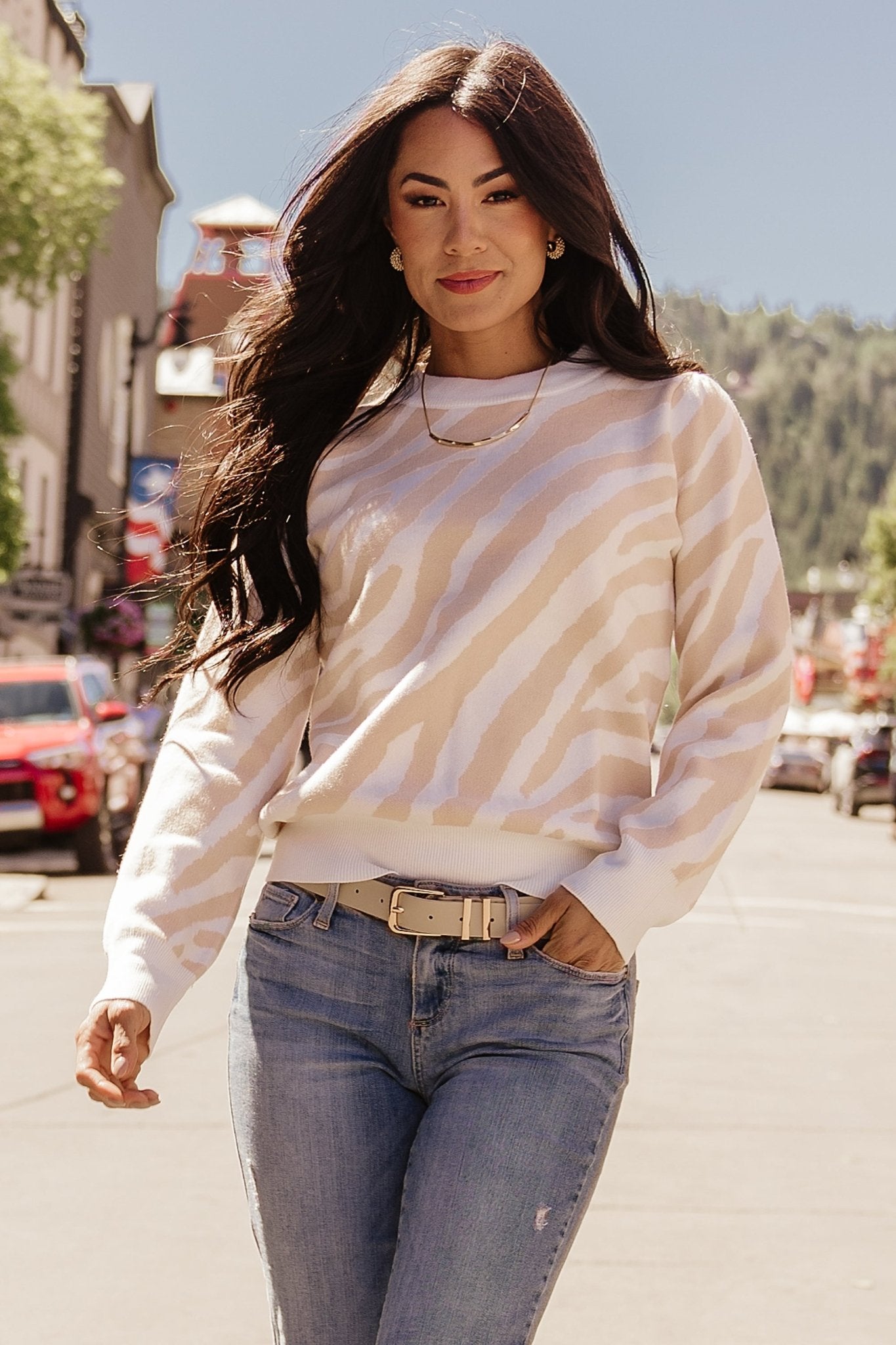 Oatmeal Zebra Print Sweater | Soft Knit with Ribbed Cuffs